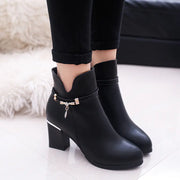 Chunky Heel Women's Round Toe Martin Boots
